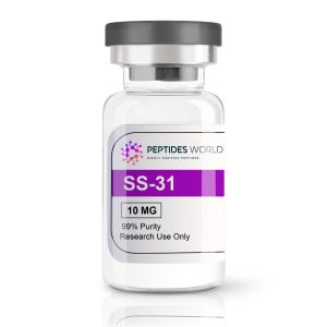 SS.31